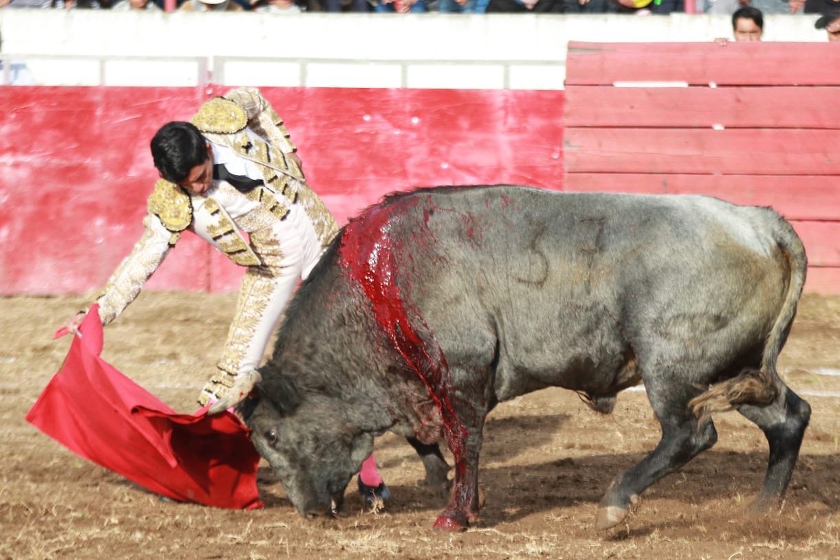 CABRERA Y PALOMO A HOMBROS 