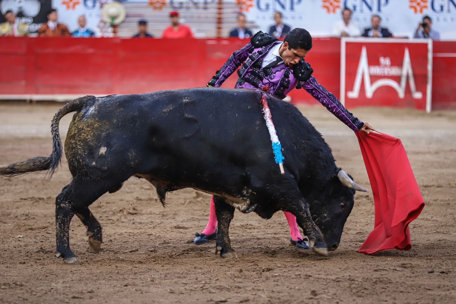 SOBRESALE SAN ROMÁN EN GUADALAJARA