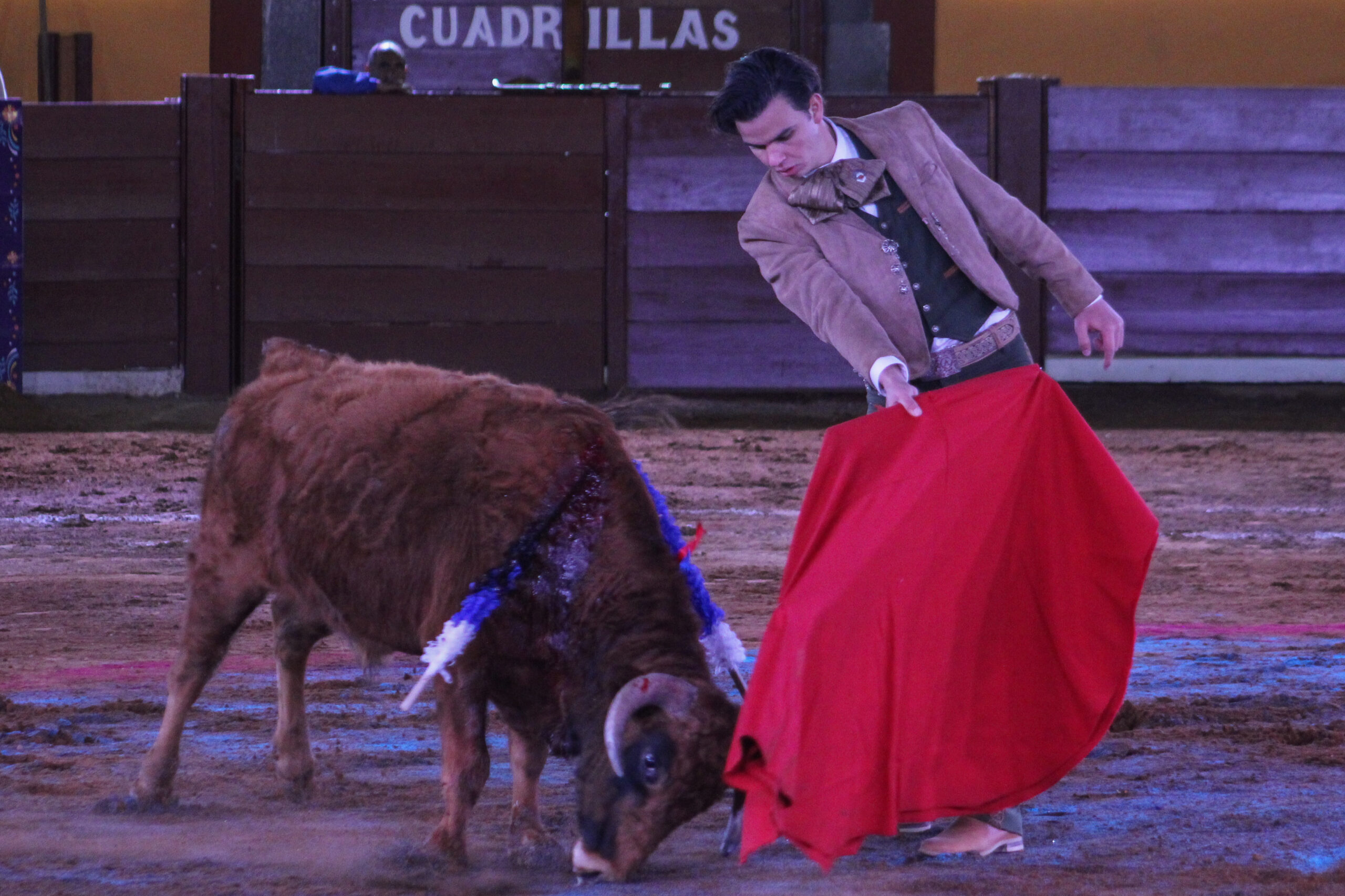 FESTIVAL DE AFICIONADOS PRÁCTICOS