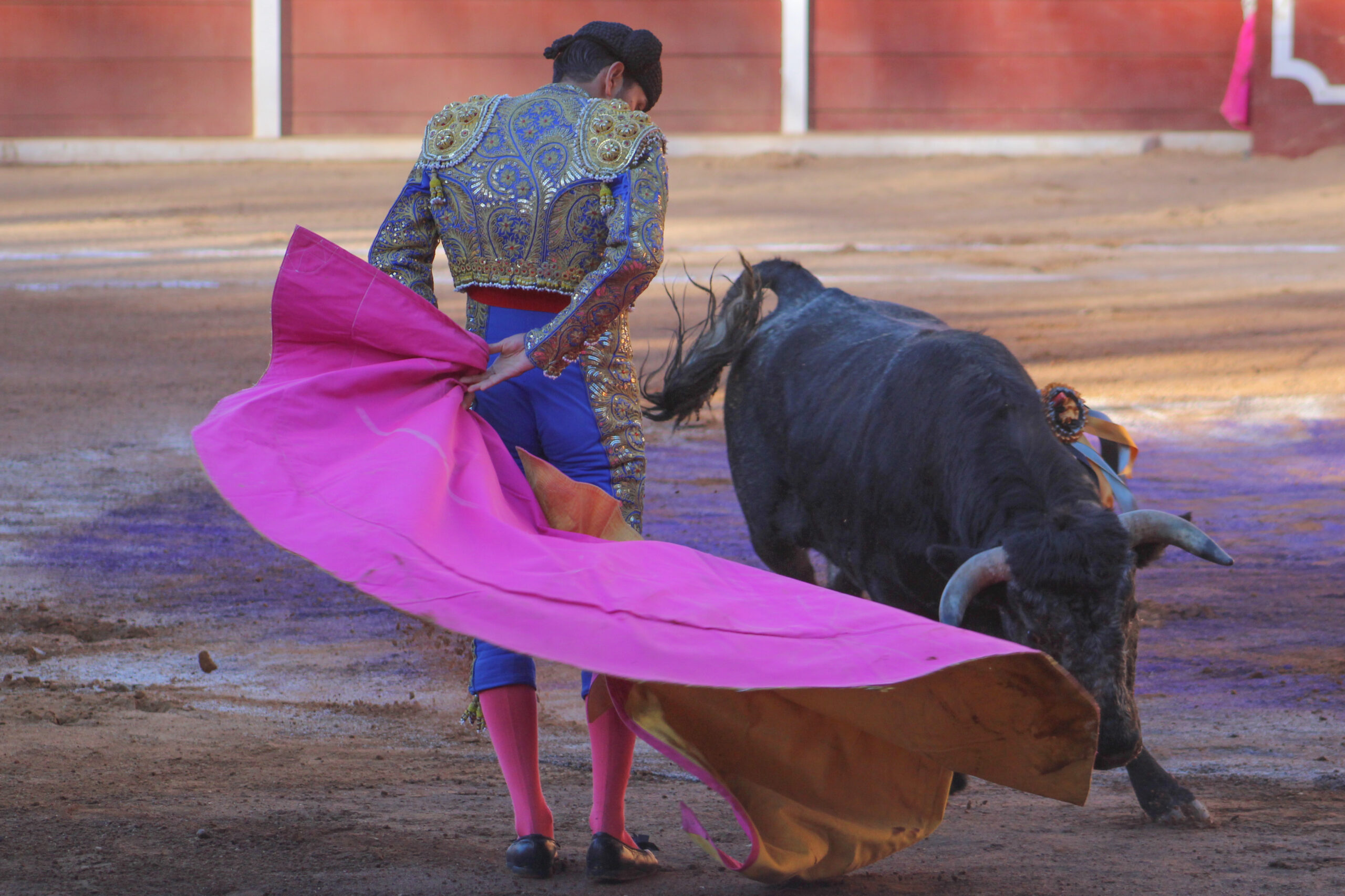 NOVILLADA CONCLUYE FERIA DE TLAXCALA