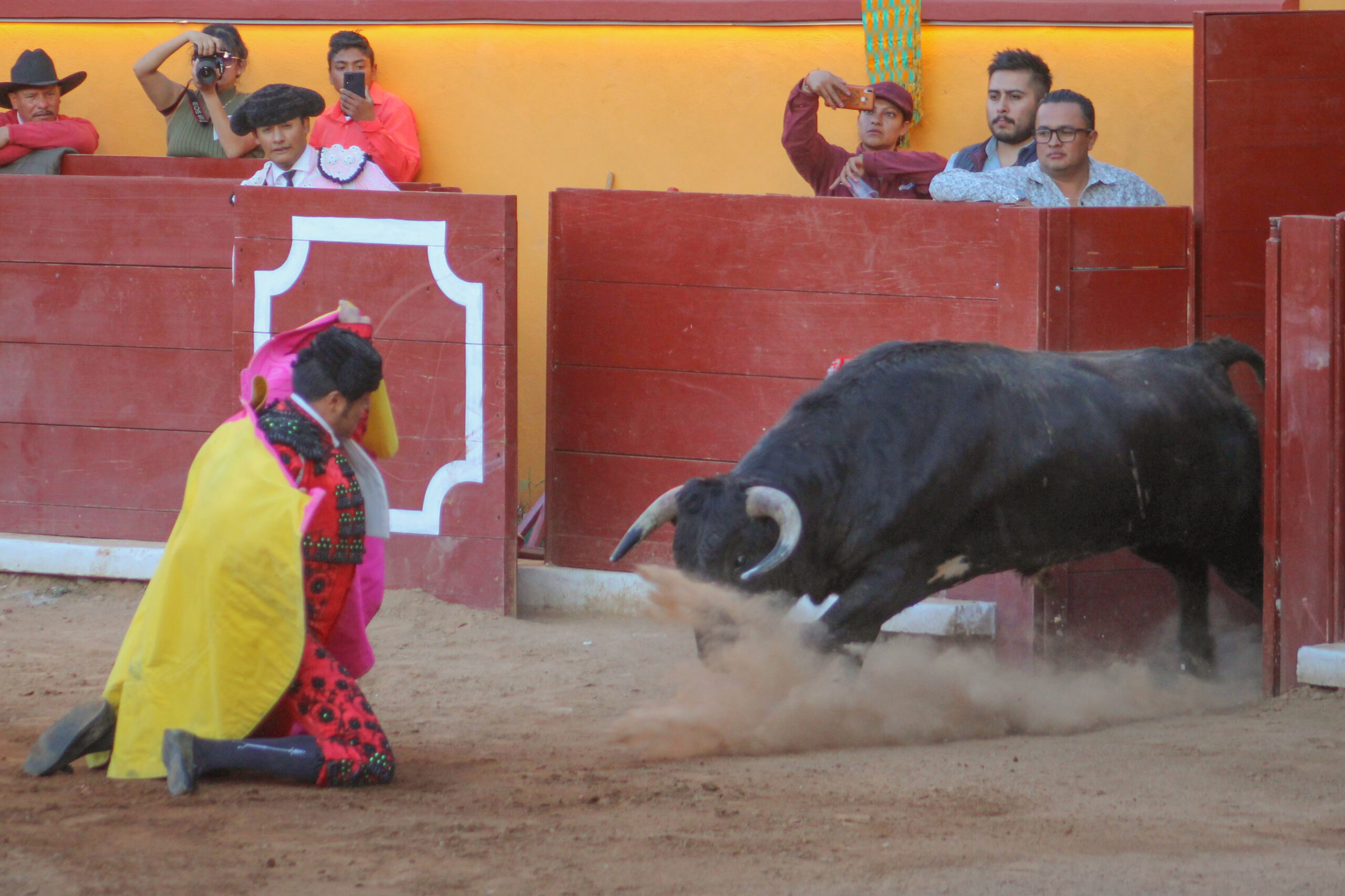 NOVILLADA CONCLUYE FERIA DE TLAXCALA