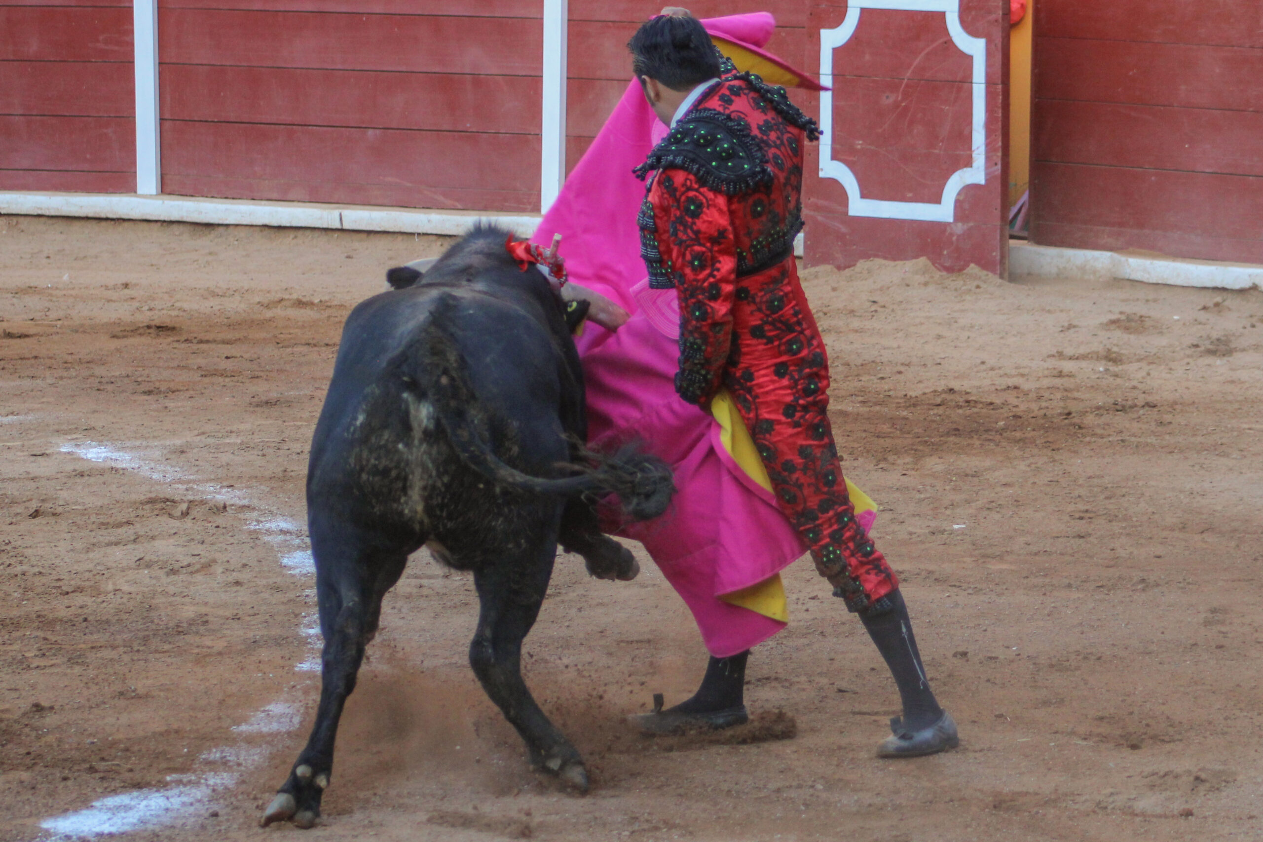 NOVILLADA CONCLUYE FERIA DE TLAXCALA