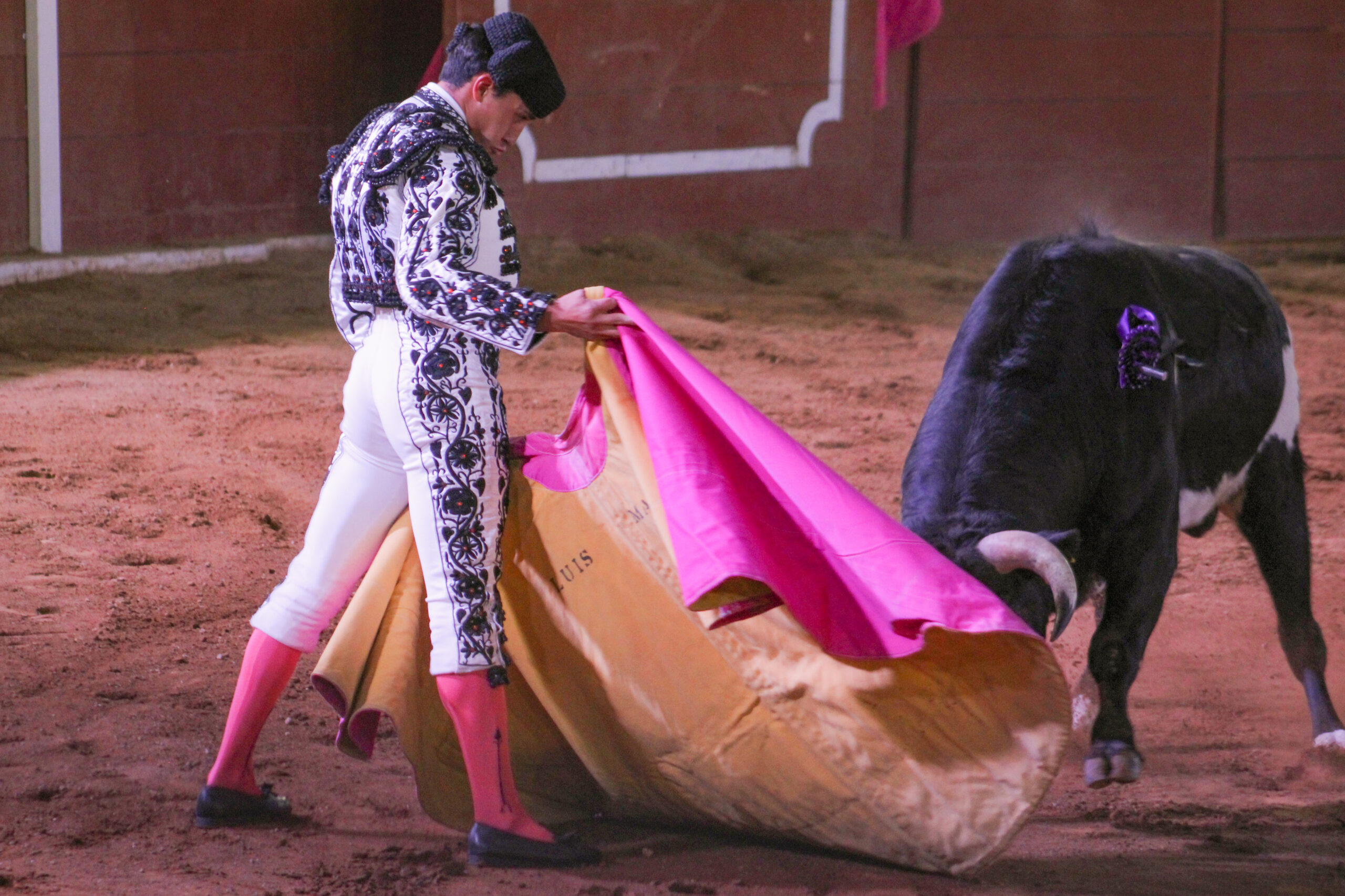 NOVILLADA CONCLUYE FERIA DE TLAXCALA