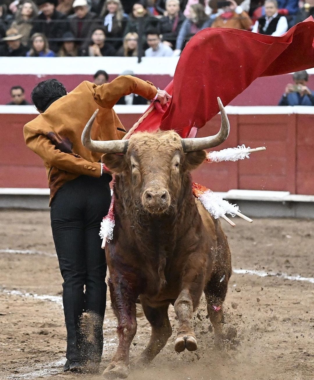 ISAAC FONSECA GANA LA OREJA