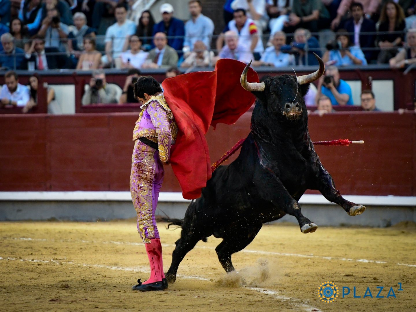 LISTA NEGRA DE GANADERÍAS