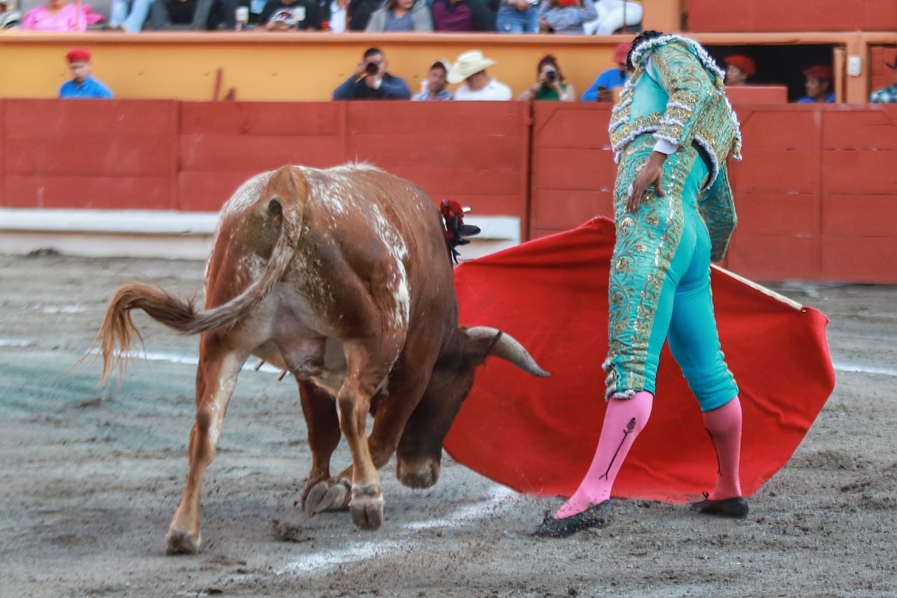 MANO A MANO EN APIZACO