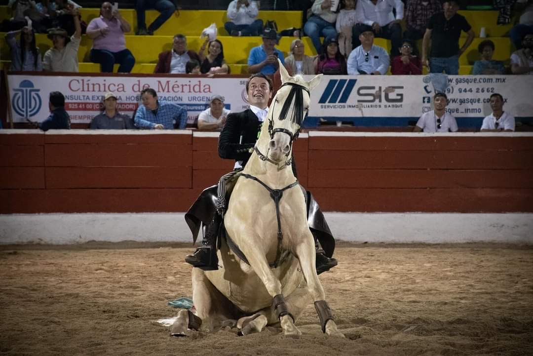 FAURO ALOI EN MÉRIDA