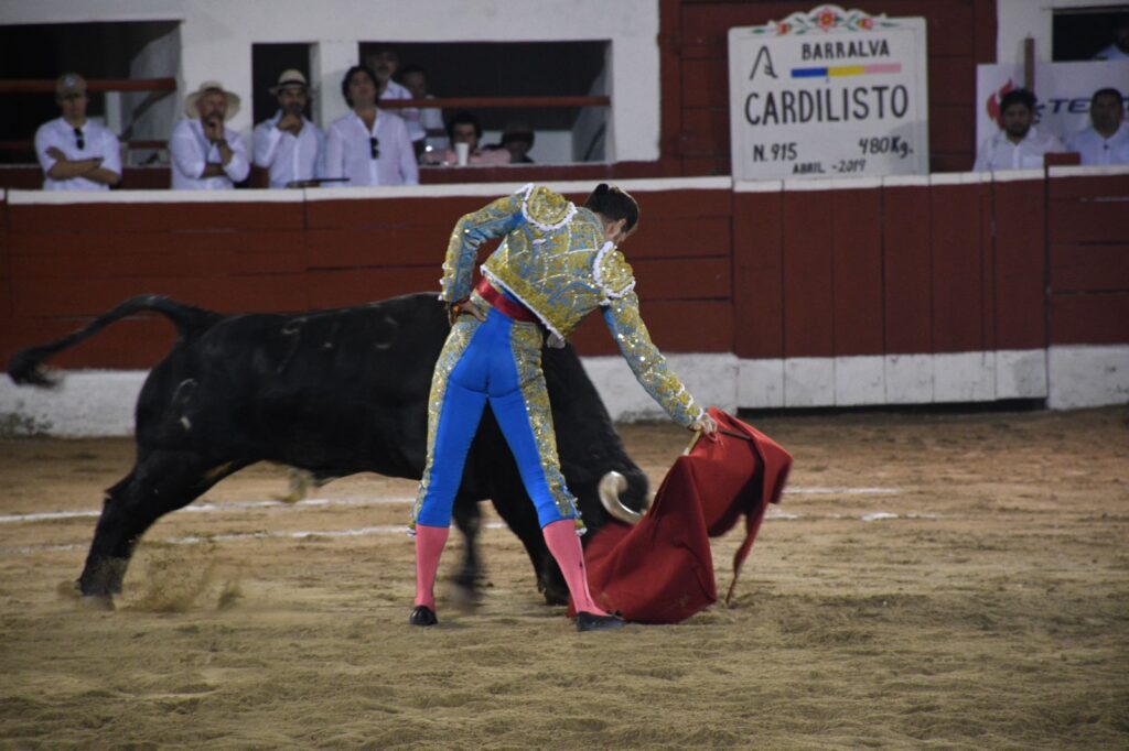 OREJA SOLITARIA PARA ROMÁN EN MÉRIDA 