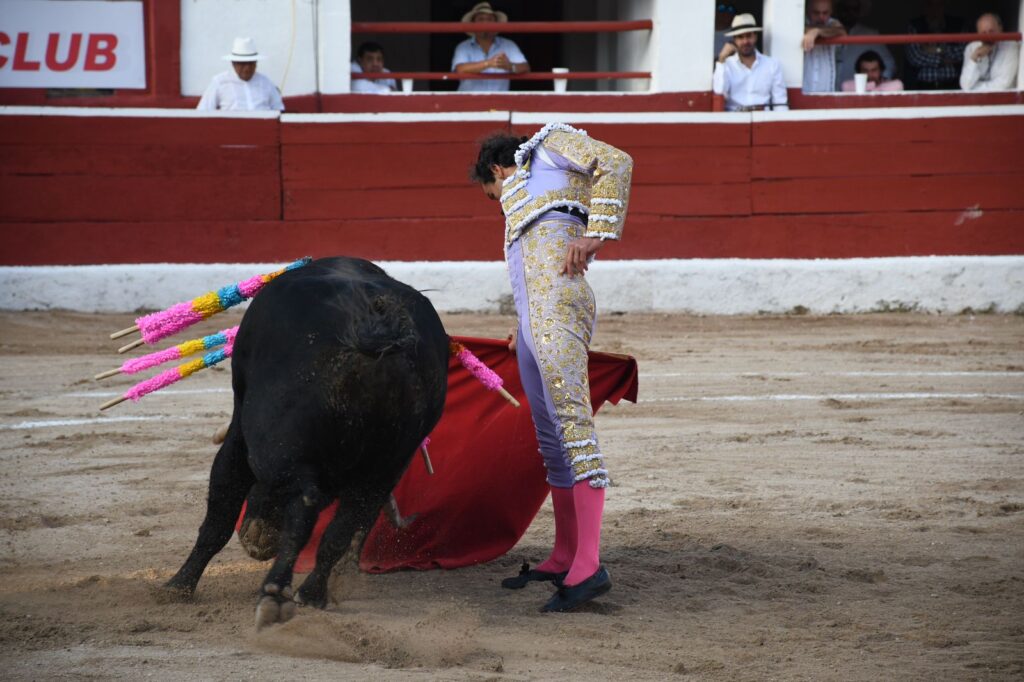 OREJA SOLITARIA PARA ROMÁN EN MÉRIDA 