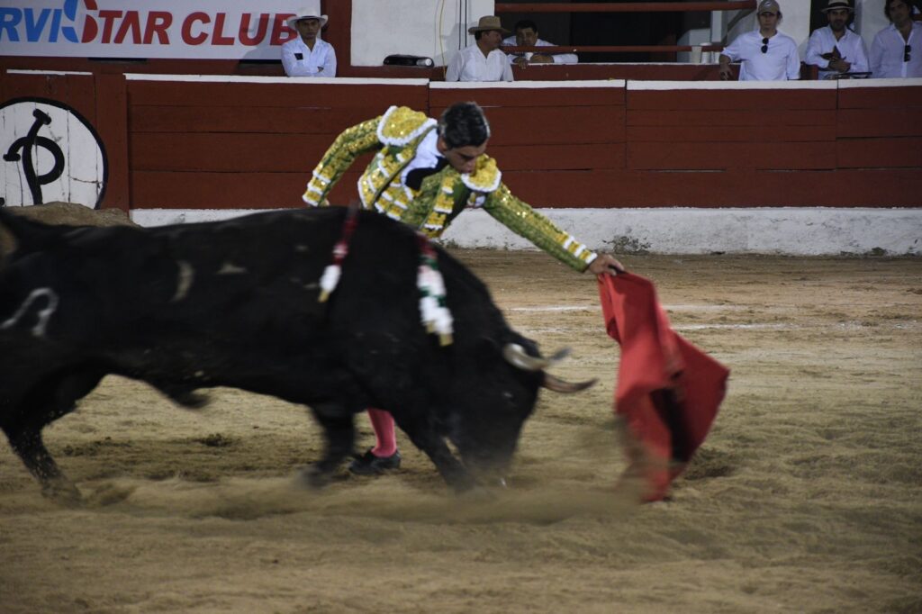 OREJA SOLITARIA PARA ROMÁN EN MÉRIDA 