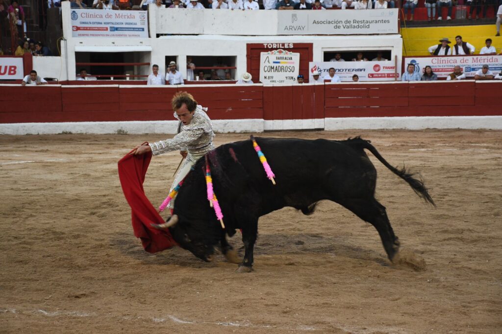 OREJA SOLITARIA PARA ROMÁN EN MÉRIDA 