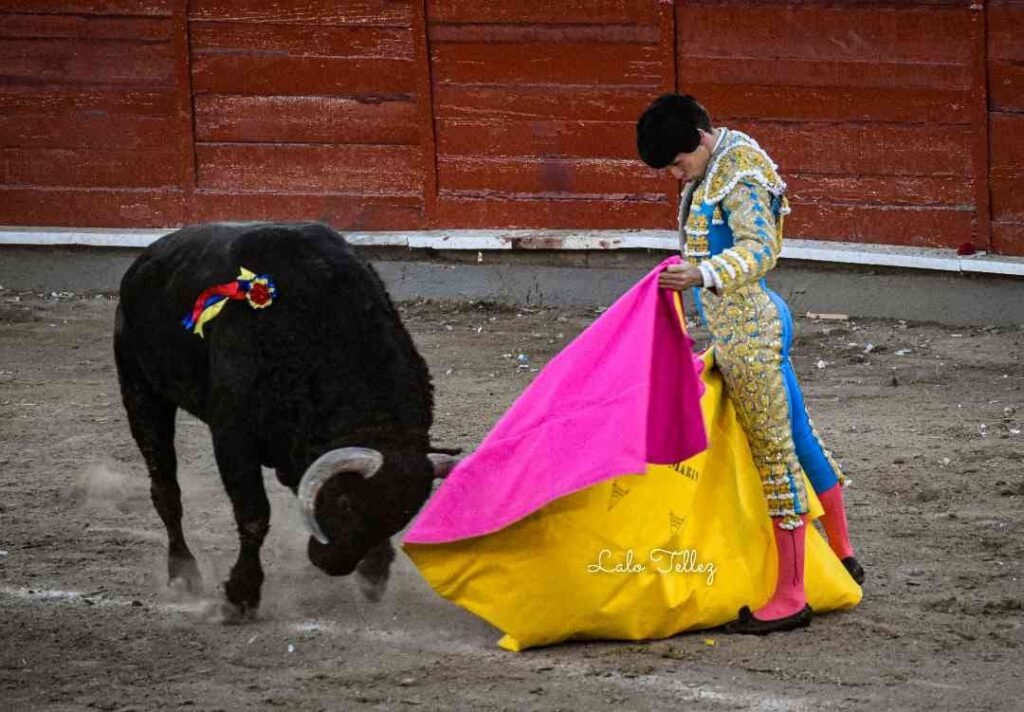 GINÉS MARÍN EN JALOS