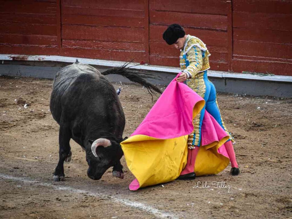 GINÉS MARÍN EN JALOS