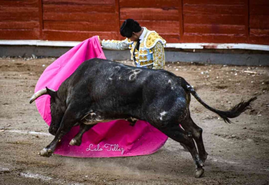 GINÉS MARÍN EN JALOS