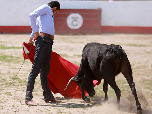 corrida de las luces 2024