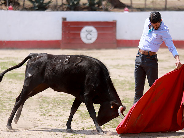 corrida de las luces 2024