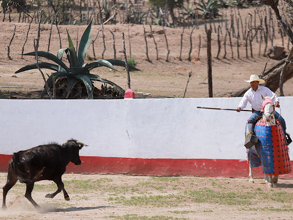 corrida de las luces 2024