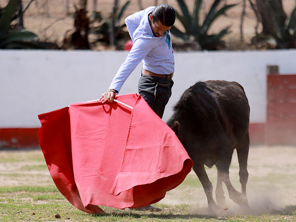 corrida de las luces 2024