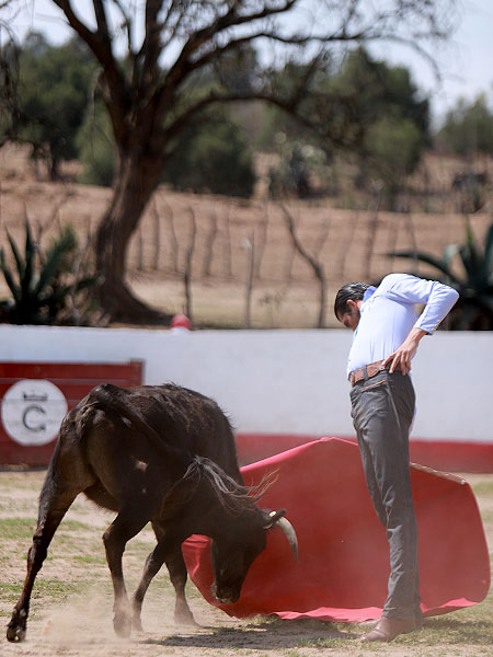 corrida de las luces 2024