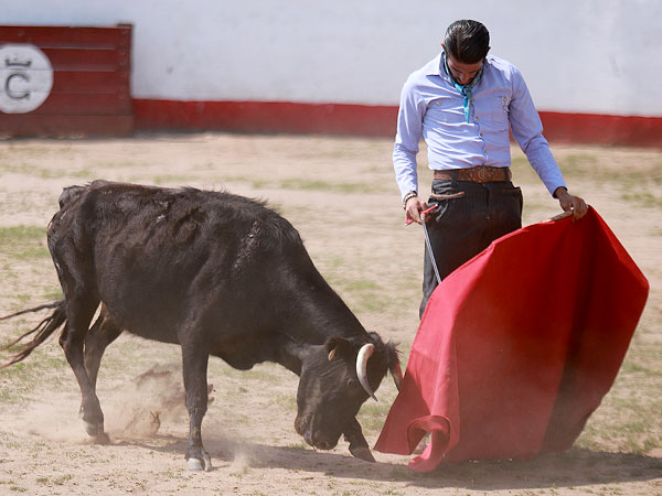 corrida de las luces 2024