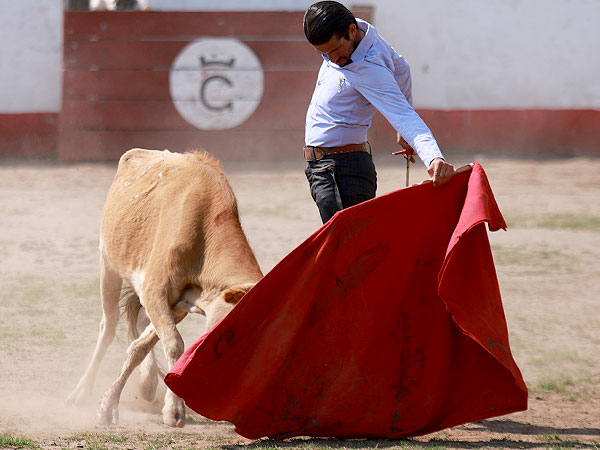 corrida de las luces 2024