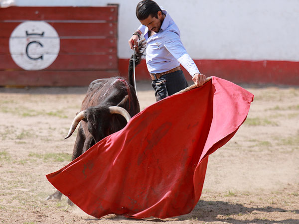 corrida de las luces 2024