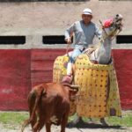 NOVILLEROS EN RAÚL CERVANTES