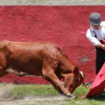 NOVILLEROS EN RAÚL CERVANTES