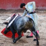 Feria en el municipio de Atltzayanca