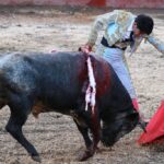 Feria en el municipio de Atltzayanca