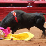 Plaza de Toros México