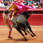 Plaza de Toros México