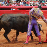 Plaza de Toros México