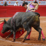 Plaza de Toros México