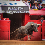 Plaza de Toros México