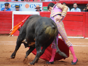 Plaza de Toros México