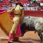 novillada Plaza de Toros México