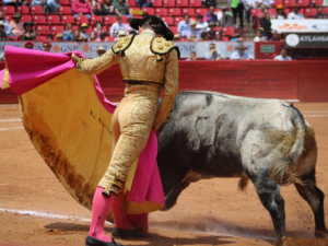 novillada Plaza de Toros México