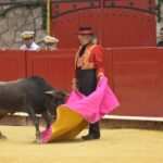 Plaza de toros Cinco Villas