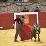 Plaza de toros Cinco Villas