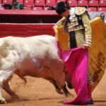 novillada Plaza de Toros México