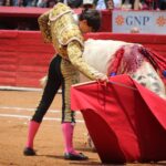 novillada Plaza de Toros México