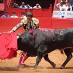 novillada Plaza de Toros México