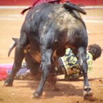 novillada Plaza de Toros México