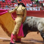 novillada Plaza de Toros México