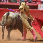 novillada Plaza de Toros México