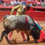 novillada Plaza de Toros México