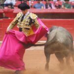 novillada Plaza de Toros México