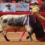 novillada Plaza de Toros México