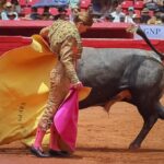 novillada plaza de toros